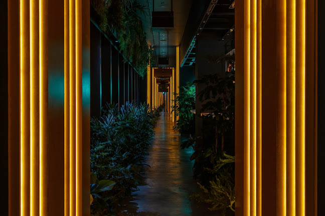 COTE Korean Steakhouse - Hospitality and gastronomy