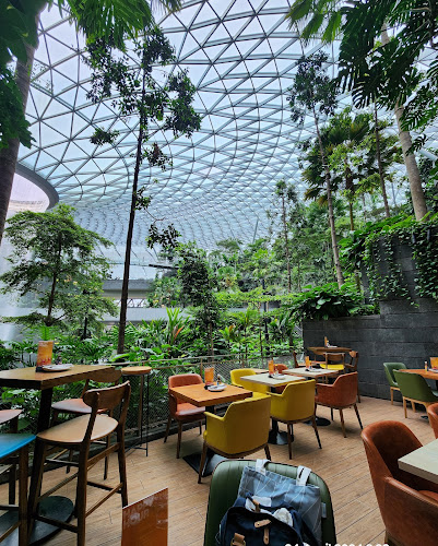 Opinii despre TONITO Latin American Kitchen @ Jewel în Singapore - Hospitality and gastronomy