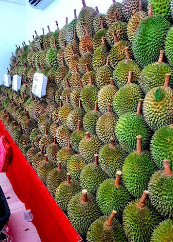 Comentarii opinii despre WLS Durian Village