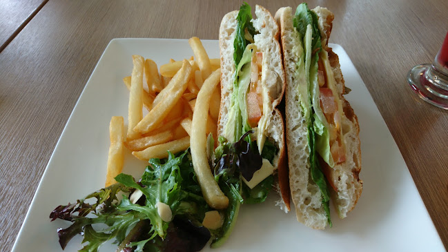 Comentarii opinii despre Vivavox