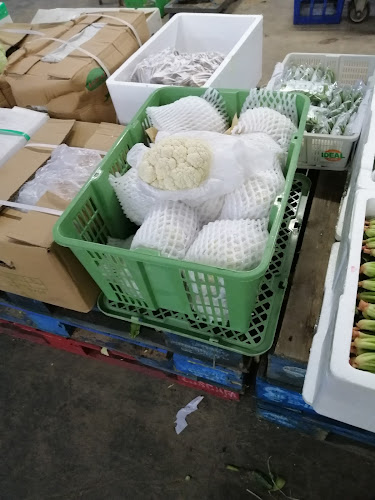 Yong Lee Merchandise Co. - Singapore's Fresh Vegetable Supplier - Hospitality and gastronomy