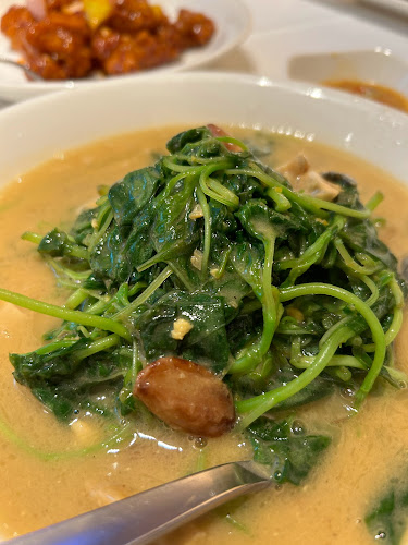 78 Airport Boulevard, #02-249, Jewel, 78 Airport Blvd., #02 - 249 Singapore Changi Airport, 819666