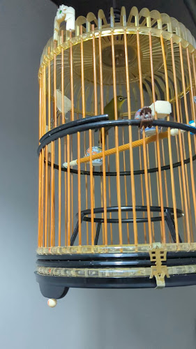 SOD Cafe - Hospitality and gastronomy