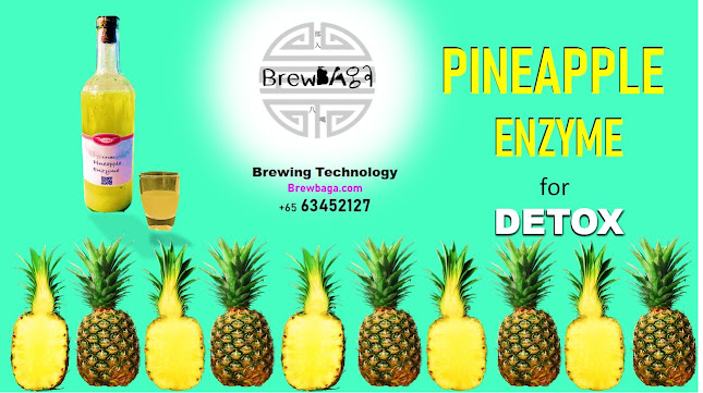 Brewbaga - Hospitality and gastronomy