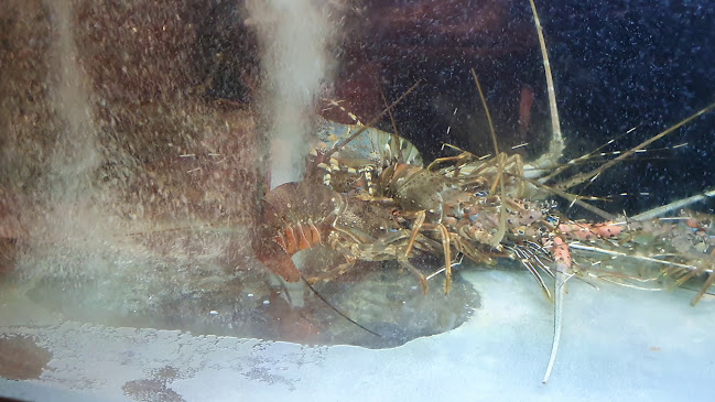 Comentarii opinii despre Joyden Seafood