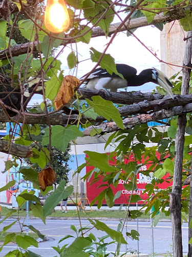 Opinii despre Le Chasseur în Singapore - Hospitality and gastronomy