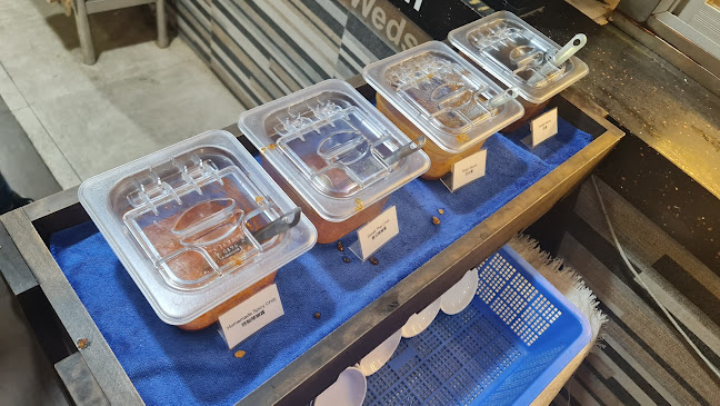 Loklok 1991’s by Daniel & Meng - Hospitality and gastronomy