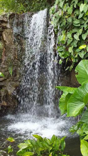 The Halia at Singapore Botanic Gardens - Singapore