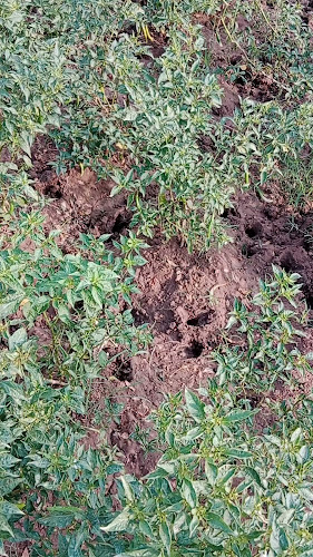 Opinii despre Oasis @ Sakra în Singapore - Hospitality and gastronomy