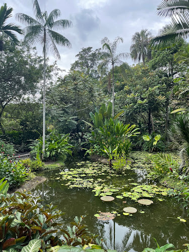 The Halia at Singapore Botanic Gardens