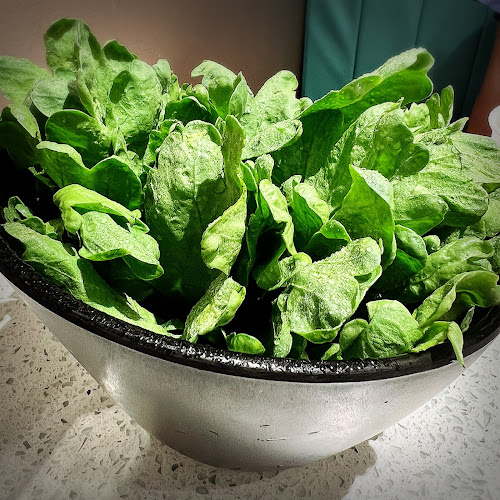 78 Airport Blvd., #B2 - 224, Singapore 819666