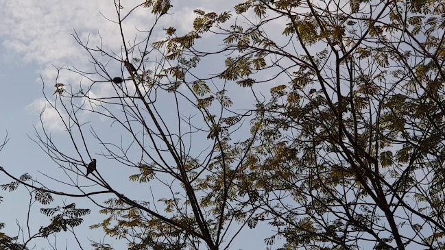 Comentarii opinii despre Bangkit 257 Coffee House