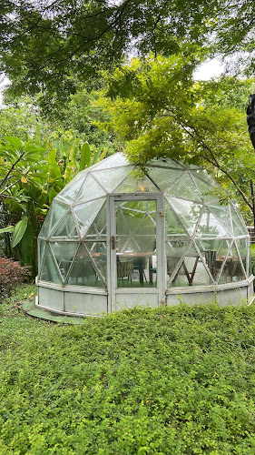 Comentarii opinii despre Wildseed Café at The Summerhouse