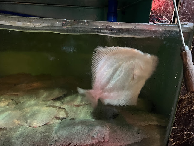 Oyster house @ Farrer Park - Singapore