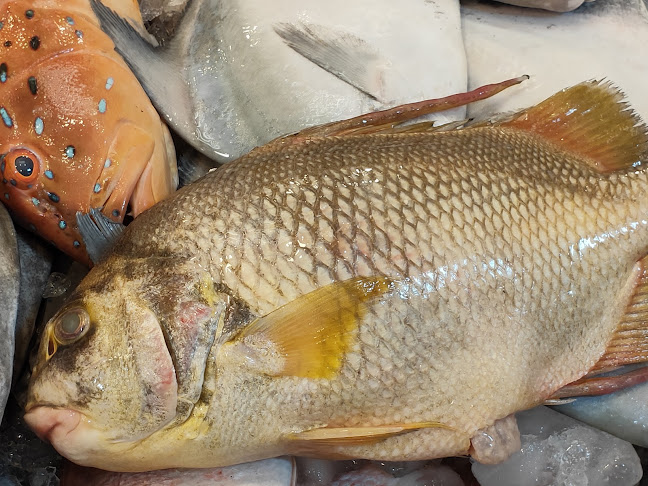 Bukit Panjang Hawker Centre & Market - Hospitality and gastronomy