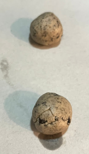 Comentarii opinii despre It's Bread Time