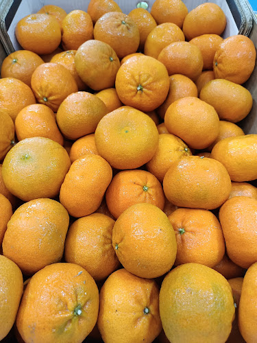 Canberra Rd, 511号SG Sembawang Mart, #01-17 邮政编码: 750511