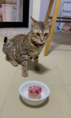 4 Lor 7 Toa Payoh, #01-129 Block 4, Singapore 310004