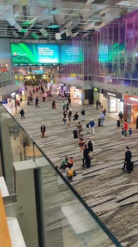 65 Airport Boulevard, Transit, Level 3 Terminal T3, 819663