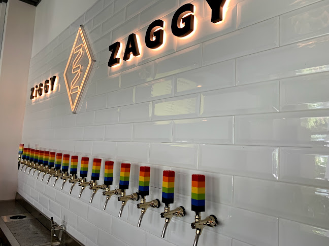 Comentarii opinii despre Ziggy Zaggy