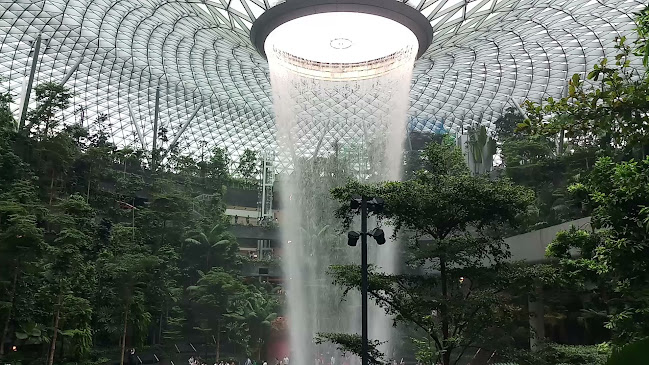 Shake Shack Jewel Changi - Hospitality and gastronomy