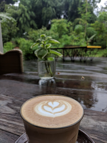 Open Farm Community - Singapore