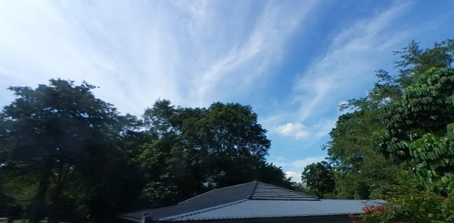 Ling Ling by The Wine Company - Hospitality and gastronomy