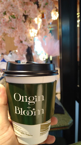 Comentarii opinii despre Origin + Bloom