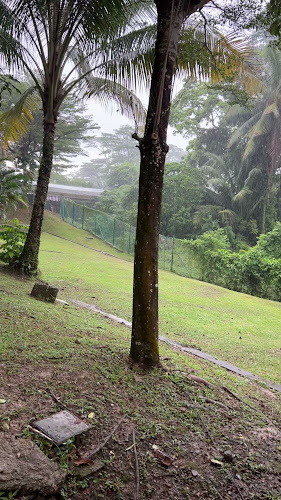 Comentarii opinii despre Merchant Coffee Roasters