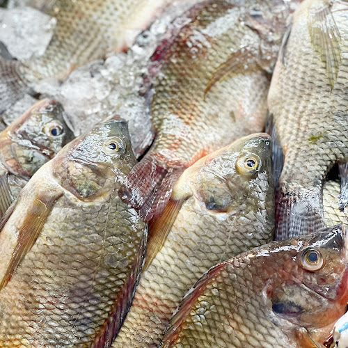 104 Yishun Ring Rd, Singapore 760104