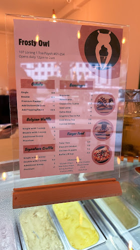 Comentarii opinii despre Frosty Owl