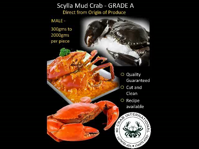 M1 Crab AMK - Singapore
