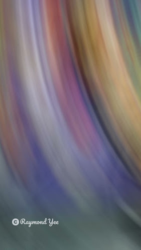 Comentarii opinii despre 廣東 炖汤•蒸鱼 Canton Delicacies