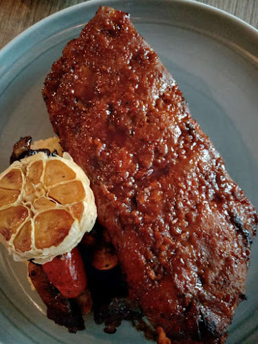 Lazy Lizard - NEWest - Singapore