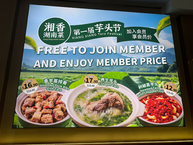 Xiang Xiang Hunan Cuisine 湘香湖南菜 @Chinatown