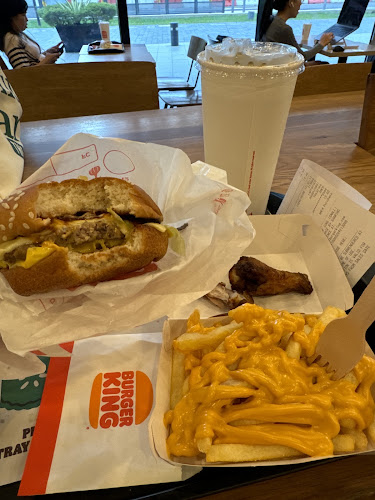 Comentarii opinii despre Burger King HillV2