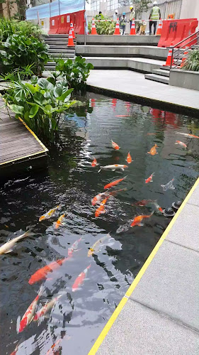 The Lawn Cafe (Dog-Friendly!) - Singapore