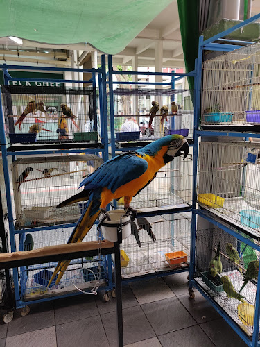 Comentarii opinii despre GHK 407 Food House