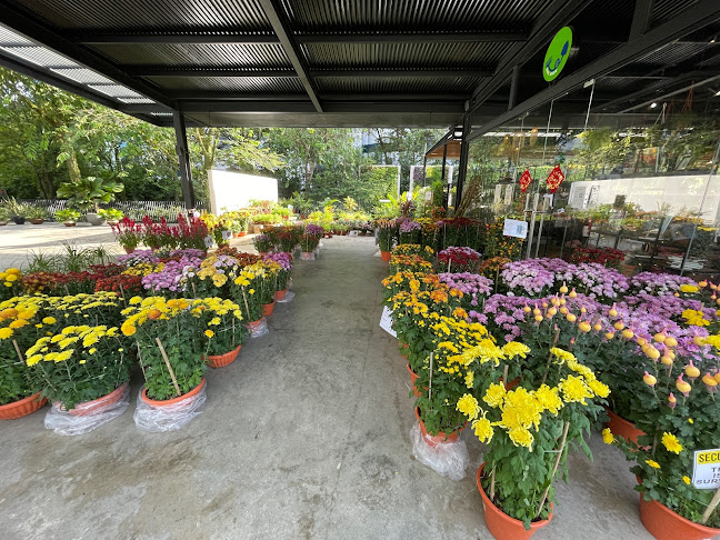 Comentarii opinii despre Canopy HortPark