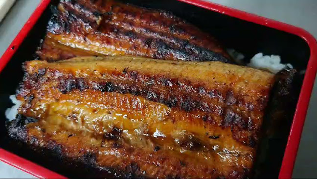 Tsukiji Unagi Shokudo Singapore Tanjong Pagar - Hospitality and gastronomy