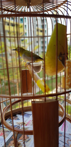 Sin Ang Seng Trading