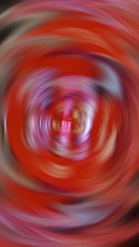 The Cocoa Trees - Changi Airport Terminal 1 West