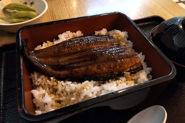 Comentarii opinii despre Kotobuki