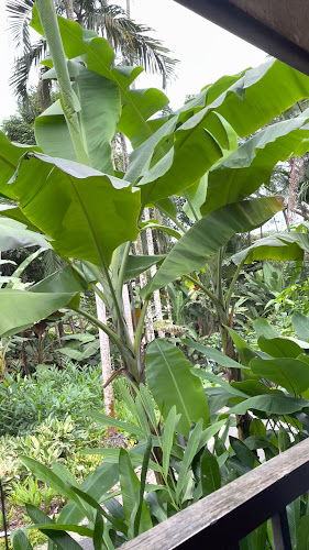 The Halia at Singapore Botanic Gardens - Hospitality and gastronomy