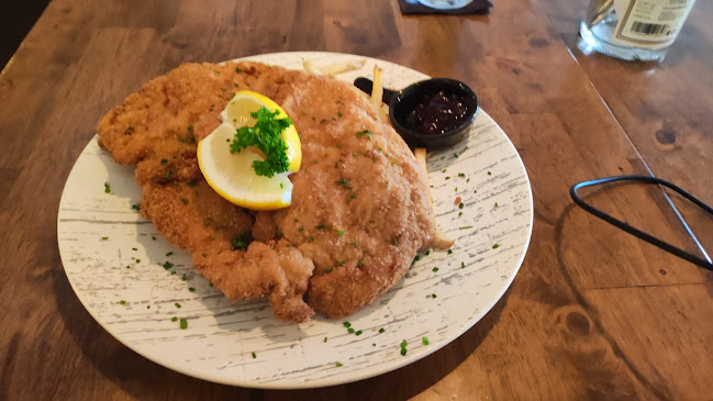 Comentarii opinii despre leopold