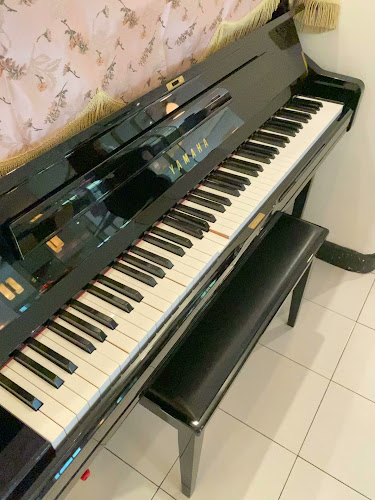 Angus Steak House - Hospitality and gastronomy