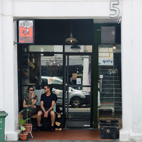 The Wired Monkey SG (The Hole)