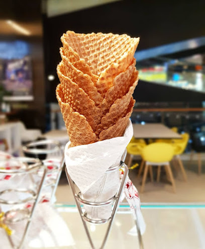 The Dancing Elephant Ice Cream