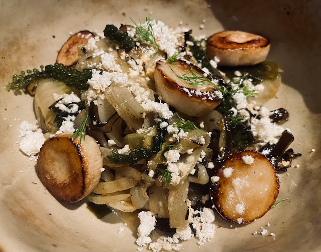 Comentarii opinii despre Analogue