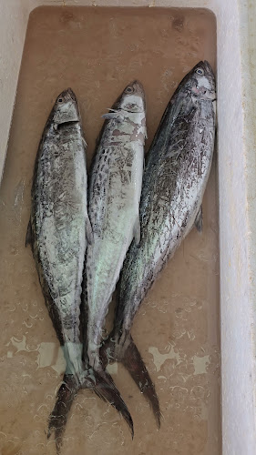 630 Bedok Reservoir Rd, Singapore 470630